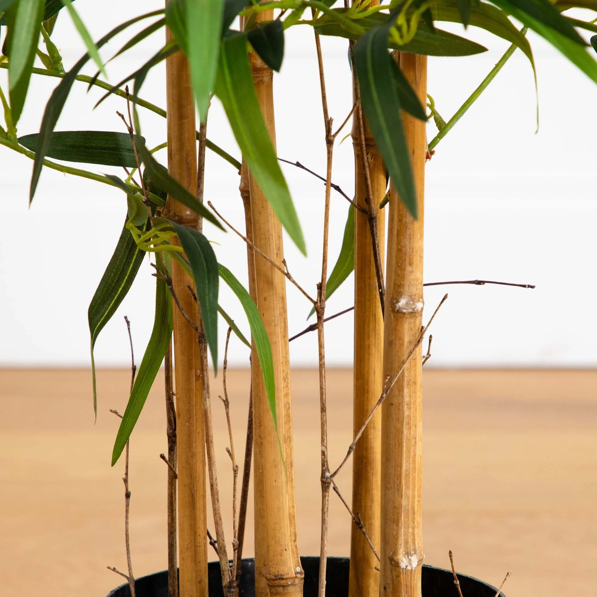 4’ Twiggy Bamboo Tree